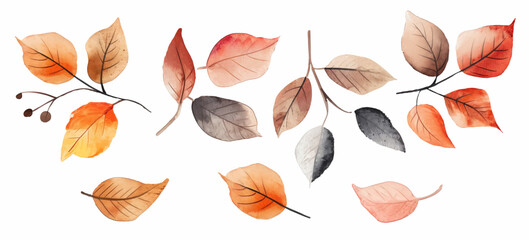 Wall Mural - Autumn leaves vector watercolor illustration