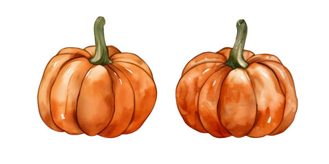 Wall Mural - Pumpkin vector illustration in style of watercolor clipart