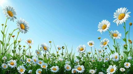 Wall Mural - Field of Blue Flowers, Sunny Day