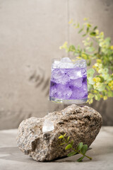 Wall Mural - Blueberry purple drink