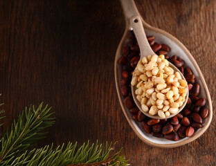 Sticker - natural organic pine nuts for a healthy diet