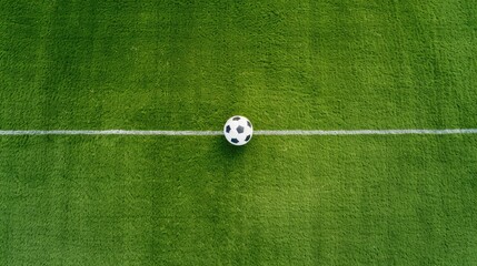 Wall Mural - A soccer ball sits on a green grass field, with white lines marking the pitch and a goal visible in the distance