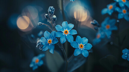 Poster - Close up of blue forget-me-not flowers on a dark background, macro photography with blurred edges and a bokeh effect, natural light with professional color grading, soft shadows and no contrast, clean