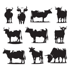 Set of cow silhouettes isolated on a white background, Vector illustration.