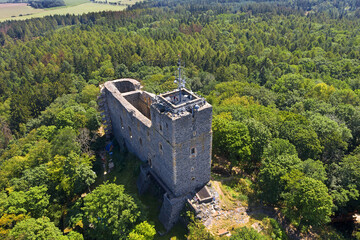 Wall Mural - Radyne Castle is a castle situated on a hill of the same name, near the town of Stary Plzenec, in the Pilsner Region of the Czech Republic.