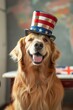 © Daria - Patriotic happy American pet dog animals wearing red white and blue Uncle Sam flag hat for July 4th, fourth, 4, USA election vote, Memorial, Independence,