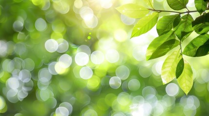 Sticker - Sunlight Filtering Through Lush Green Foliage