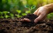 © FrankBoston - Hands holding rich soil for planting, perfect for agriculture and gardening uses