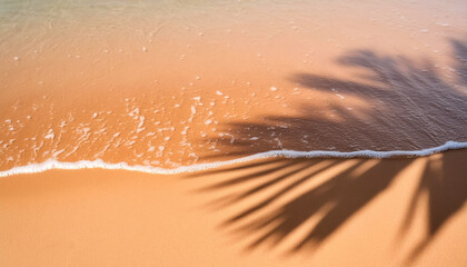 empty abstract sand beach with palm leaf shadow and transparent water wave from above, blank background banner for travel, vacation and wellbeing with copy space. top of views, aerial views