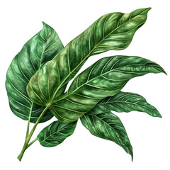 Wall Mural - Illustration of Lush Green Leaves with Detailed Veins