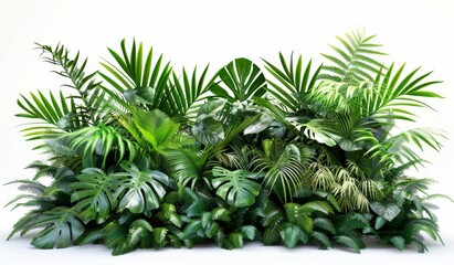 Poster - Nature's jungle foliage and bush floral arrangement