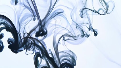 Poster - Black Ink Droplet Falling on White Surface Close Up Slow Motion