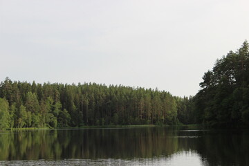 Wall Mural - Peaceful lake with a forest backdrop.