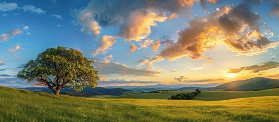 Wall Mural - Sunset Over Rolling Hills and a Lone Tree