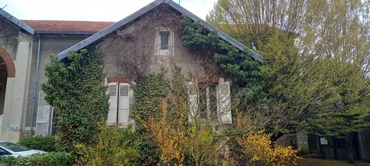 Wall Mural - old house in the woods