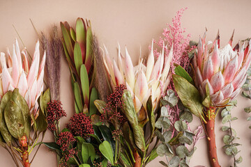 Poster - Composition with beautiful pink protea flowers on beige background