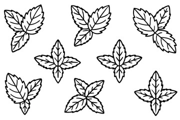 Mint leaf minimalist line art classic botanical elegance