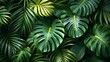 © DARIKA - Artistic pattern of tropical palm leaves in vibrant greens, creating a dynamic and exotic background texture perfect for beach, vacation, and adventure-themed designs. , Minimalism,
