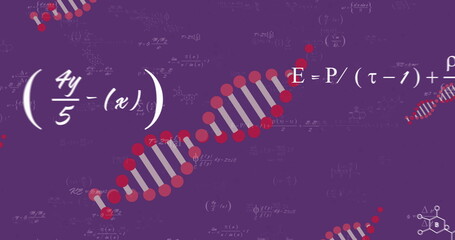 Poster - Image of dna chains and mathematical equations on purple background