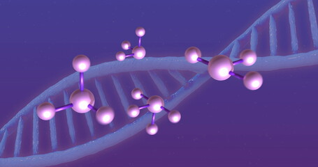 Poster - Image of floating molecules over dna chains on purple background