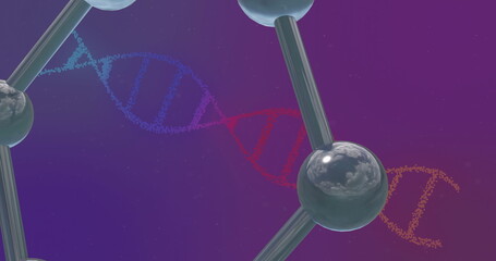 Poster - Image of floating molecules over dna chains on purple background