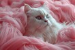 © Surachetsh - A cat dressed in a pink knit dress and a matching pink bow rests comfortably on a fluffy bed