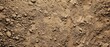 © Starlight - Panoramic close-up, high detail scan of light brown dirt material, Generative AI