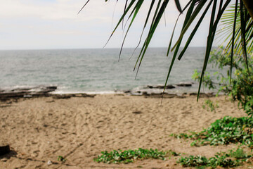 beach in the morning