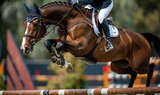 An equestrian rider's lower body and horse jumping over an obstacle