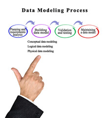 Canvas Print - Components of Data Modeling Process