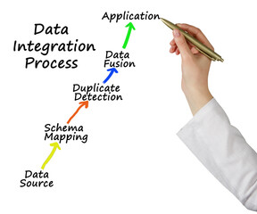 Wall Mural - Components of Data Integration Process