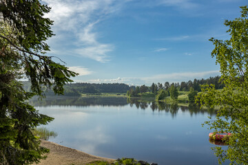 Wall Mural - A still lake reflecting the blue sky and fluffy white clouds, framed by a lush green forest. The tranquility of the scene is further emphasized by the bright sunlight and calm water.