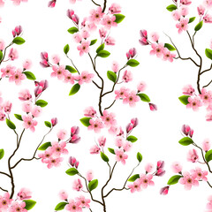 Branches of a blossoming cherry in a pattern.Pattern of branches of blooming cherry on a white background.