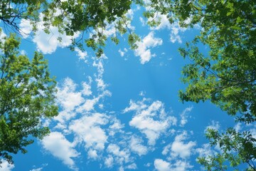 Wall Mural - a blue sky with some clouds and some trees