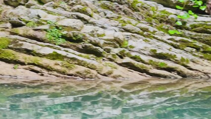 Poster - Waterfall in the forest in summer. River with stones.