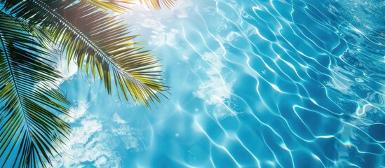 Wall Mural - Summer vacation scene with a pool, palm leaf, and blue sky on a sunny day, ideal for a vibrant copy space image.