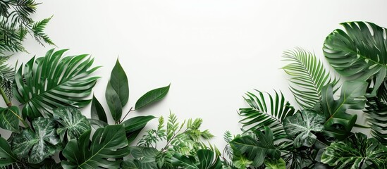Leinwandbilder - Copy space image featuring tropical green leaves and branches on a white background, creating a lush foliage backdrop.