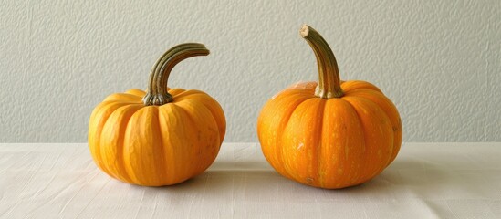 Poster - An overhead perspective showcasing two petite pumpkins displayed on a kitchen table, representing nutritious seasonal produce against a serene backdrop with copy space image.