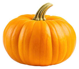 Sticker - PNG Pumpkin vegetable plant food.