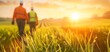 © Arrseman - Two workers walking through a sunny field at sunrise, blurred background with focus on grass in the foreground, representing agricultural work.