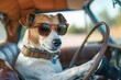 © Fokasu Art - A cool dog in stylish sunglasses behind the wheel of a vintage car, creating a humorous and charming image