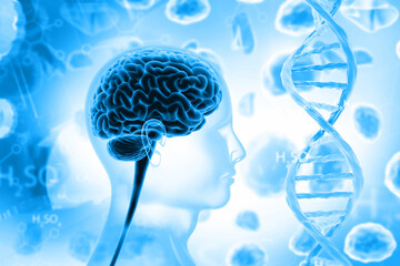 Wall Mural - Human brain with DNA strand on abstract scientific background. 3d illustration.