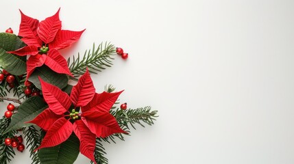 Poster - Red poinsettia flower and Christmas tree branches on white background with space for text Top view Winter holiday theme