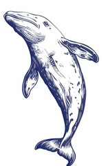 Wall Mural -  A dolphin jumping into the air with its mouth widely open