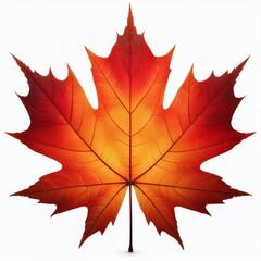 Wall Mural - A vibrant red maple leaf isolated on a white background, symbolizing the colorful autumn season