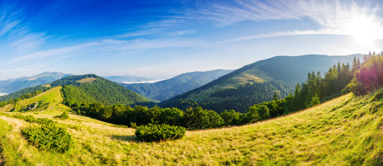 Poster - panorama of a beautiful countryside landscape of ukraine. sunny morning. wonderful summer scenery in carpathian mountains. grassy field and rolling hills. rural valley in the distance