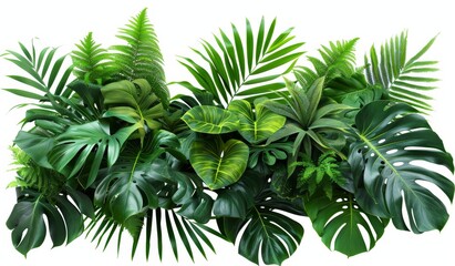 Poster - Nature's foliage plant bush floral arrangement