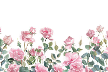  PNG  Delicate watercolor pink roses illustration