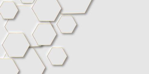 Luxury white and grey hexagonal abstract background with shadow. Geometric 3d texture illustration. hexagon concept design abstract technology background vector. Modern simple style hexagonal graphic.