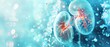 © Sinergi Digital - 3D Illustration of Kidney with Medical Background